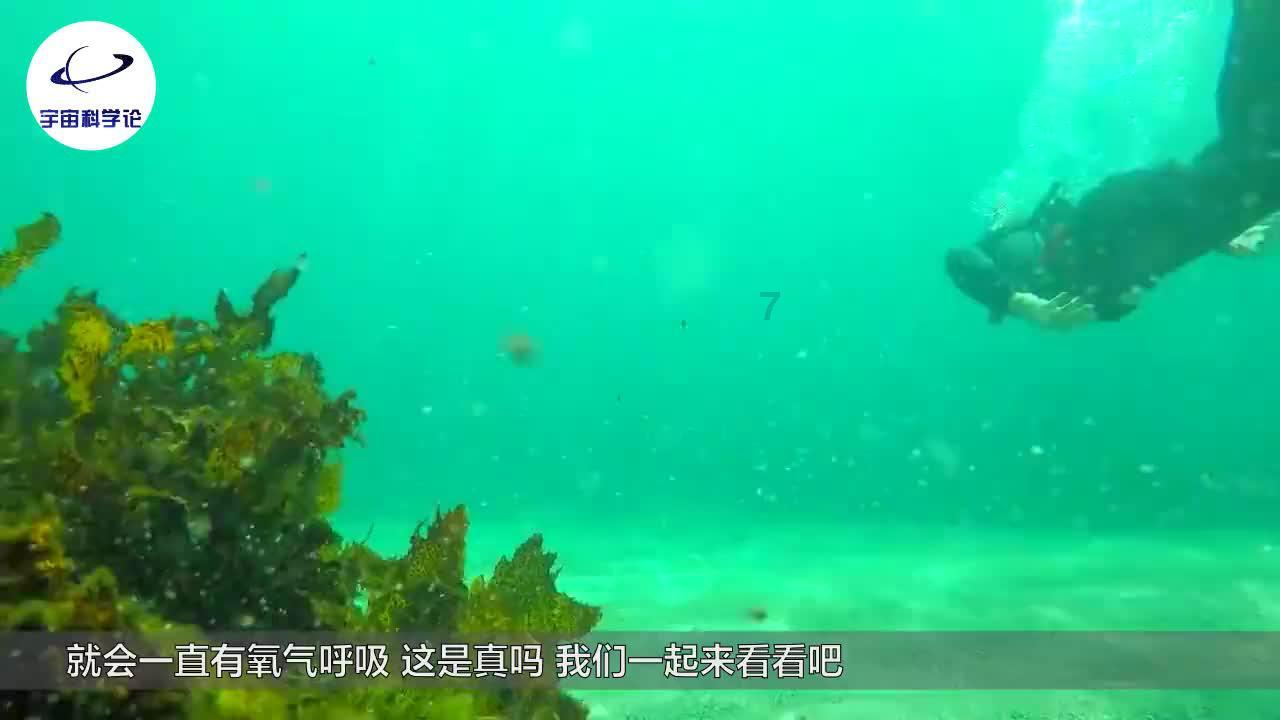 行尸走肉