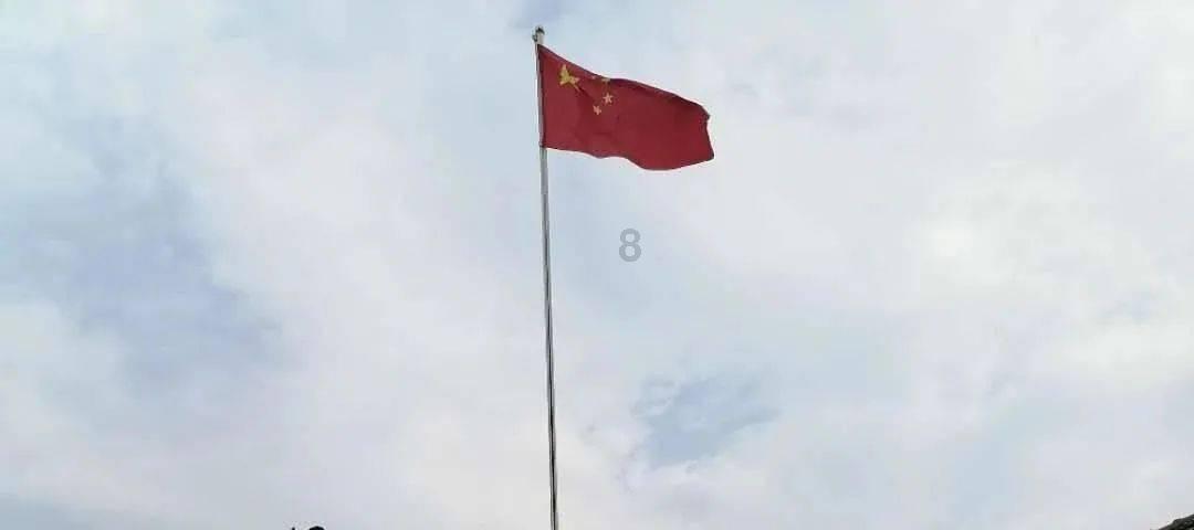 动物帮帮忙保卫家园